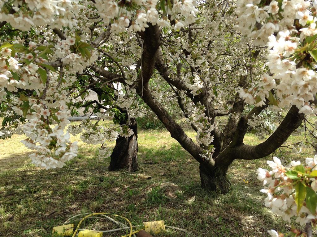 La Maison Du Peintre En Provence マルモール エクステリア 写真