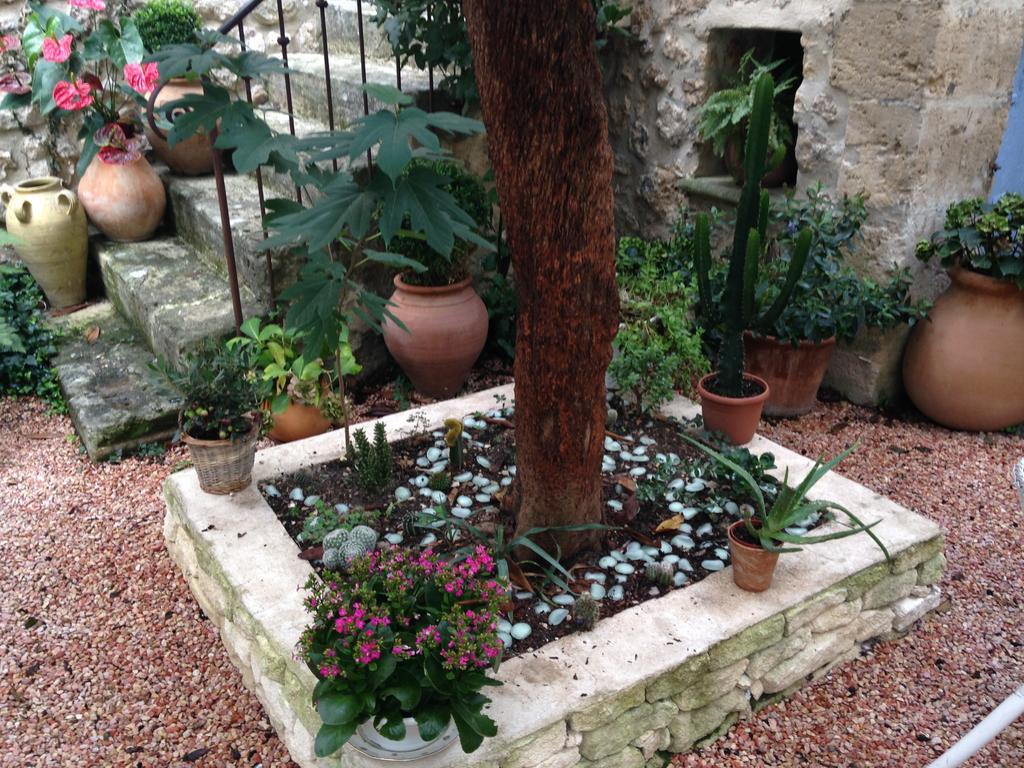 La Maison Du Peintre En Provence マルモール エクステリア 写真